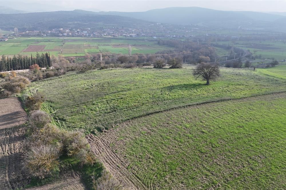 C21 WİNNER KEPSUT NUSRET 1.940 m² SATILIK TARLA