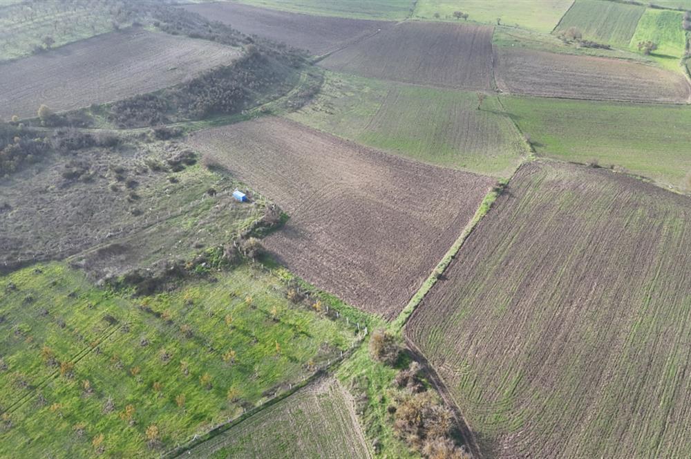 C21 WİNNER KEPSUT NUSRET 1.940 m² SATILIK TARLA