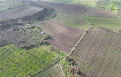 C21 WİNNER KEPSUT NUSRET 1.940 m² SATILIK TARLA