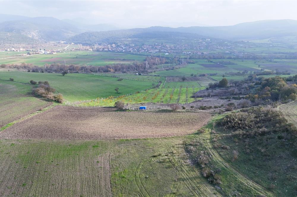 C21 WİNNER KEPSUT NUSRET 1.940 m² SATILIK TARLA