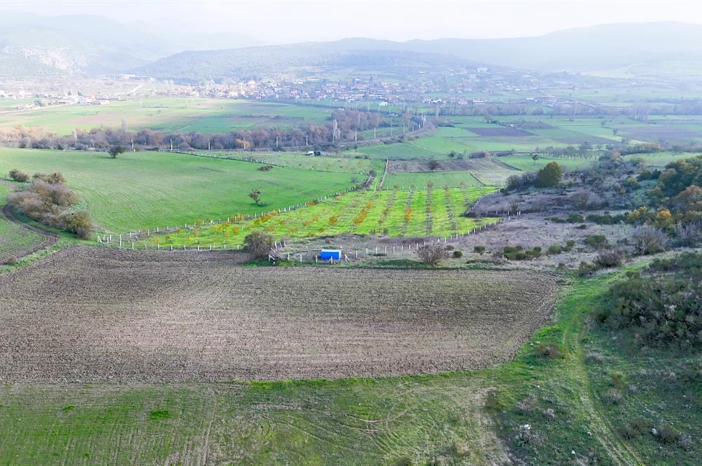 C21 WİNNER KEPSUT NUSRET 1.940 m² SATILIK TARLA