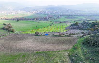 C21 WİNNER KEPSUT NUSRET 1.940 m² SATILIK TARLA