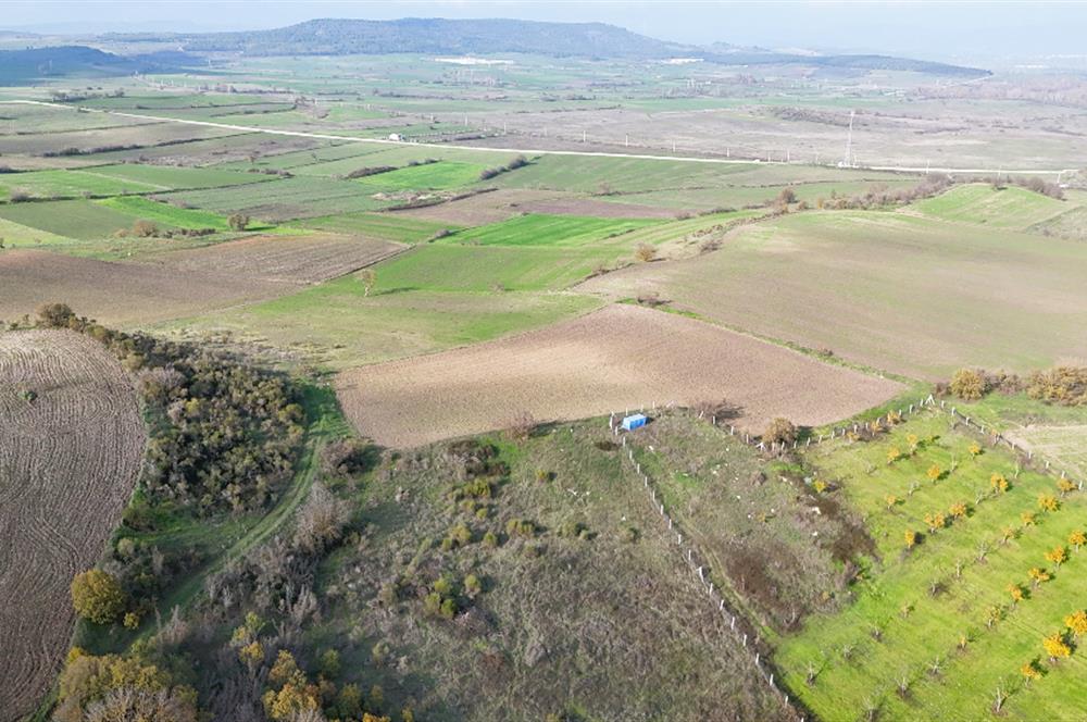 C21 WİNNER KEPSUT NUSRET 1.940 m² SATILIK TARLA