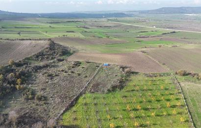 C21 WİNNER KEPSUT NUSRET 1.940 m² SATILIK TARLA