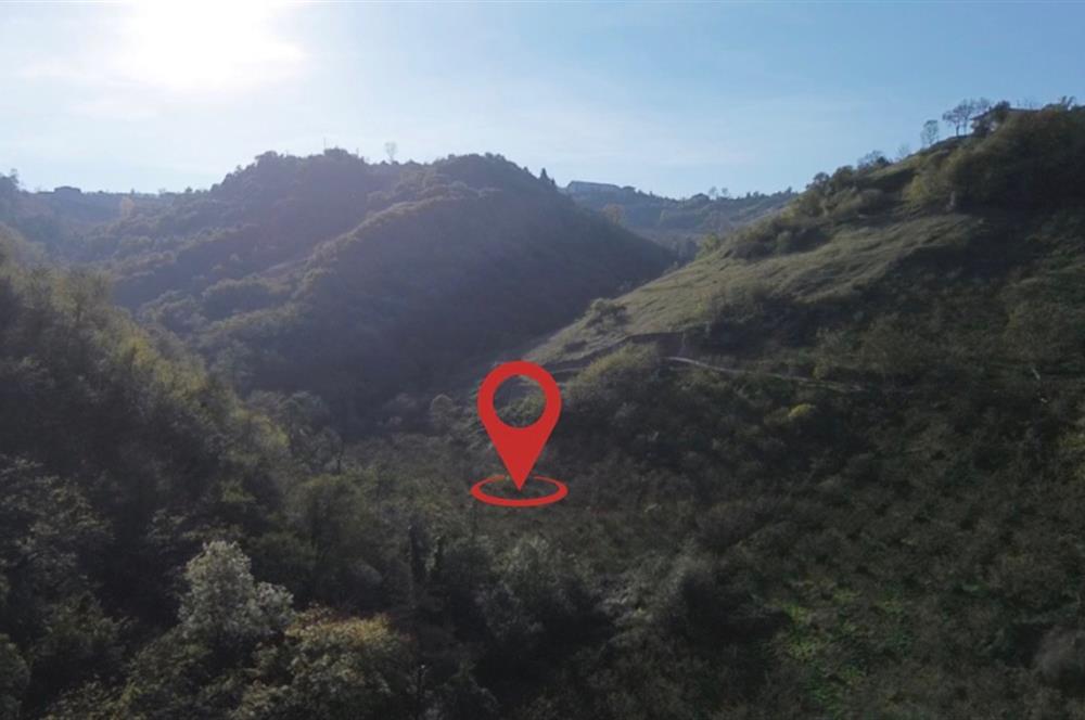 M21 TEAM'den ORTAHISAR BEŞTAŞTA YATIRIMLIK ARAZI