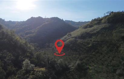 M21 TEAM'den ORTAHISAR BEŞTAŞTA YATIRIMLIK ARAZI