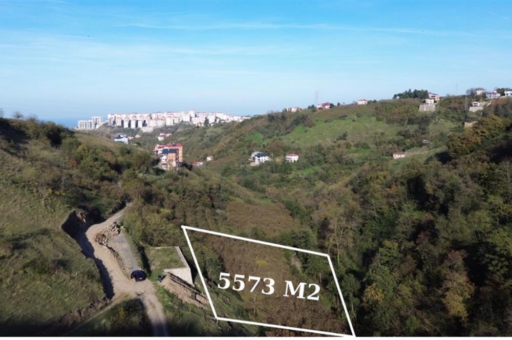 M21 TEAM'den ORTAHISAR BEŞTAŞTA YATIRIMLIK ARAZI