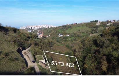 M21 TEAM'den ORTAHISAR BEŞTAŞTA YATIRIMLIK ARAZI