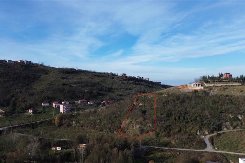 M21 TEAM'den ÇUKURÇAYIR SOFRAKAYA'da YATIRIMLIK ARAZI