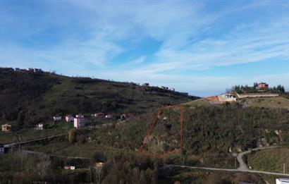 M21 TEAM'den ÇUKURÇAYIR SOFRAKAYA'da YATIRIMLIK ARAZI