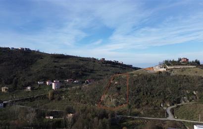 M21 TEAM'den ÇUKURÇAYIR SOFRAKAYA'da YATIRIMLIK ARAZI