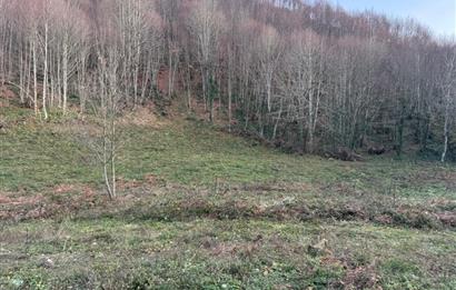 SAKARYA İKRAMİYE'DE YATIRIMLIK ARAZİ