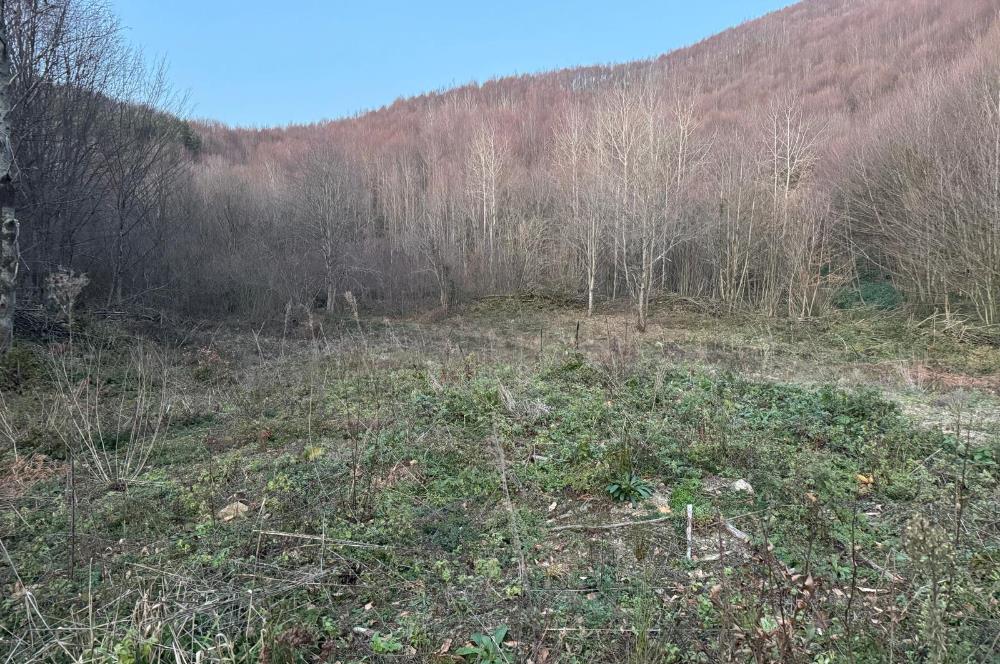 SAKARYA İKRAMİYE'DE YATIRIMLIK ARAZİ