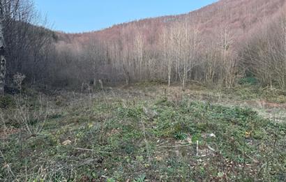 SAKARYA İKRAMİYE'DE YATIRIMLIK ARAZİ