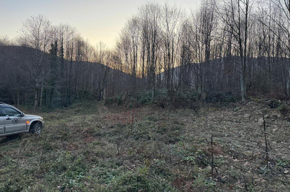 SAKARYA İKRAMİYE'DE YATIRIMLIK ARAZİ