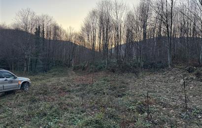 SAKARYA İKRAMİYE'DE YATIRIMLIK ARAZİ