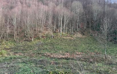 SAKARYA İKRAMİYE'DE YATIRIMLIK ARAZİ