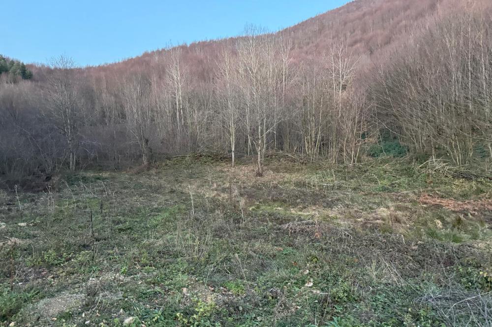 SAKARYA İKRAMİYE'DE YATIRIMLIK ARAZİ