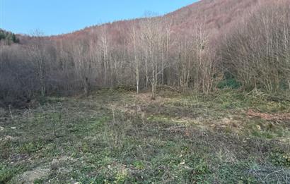 SAKARYA İKRAMİYE'DE YATIRIMLIK ARAZİ