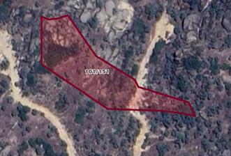 AYDIN KARPUZLU TEKELERDE 3.526 M2 ZEYTİNLİK - 3 - 30943