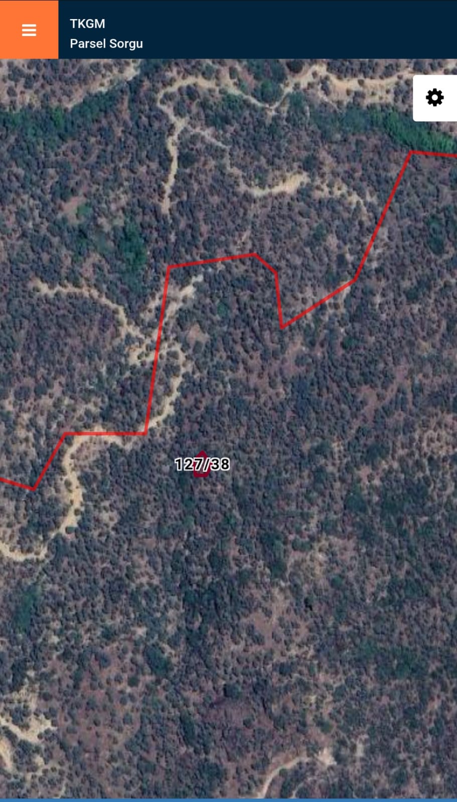 AYDIN KARPUZLU CUMALAR KARABAĞ'DA 192 M2 ZEYTİNLİK