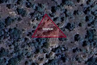 AYDIN KARPUZLU TEKELER 360 M2 ZEYTİNLİK - 2 - 30945