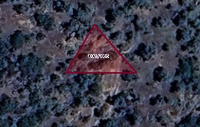 AYDIN KARPUZLU TEKELER 360 M2 ZEYTİNLİK