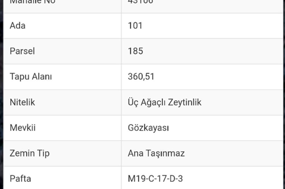 AYDIN KARPUZLU TEKELER 360 M2 ZEYTİNLİK