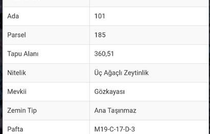 AYDIN KARPUZLU TEKELER 360 M2 ZEYTİNLİK