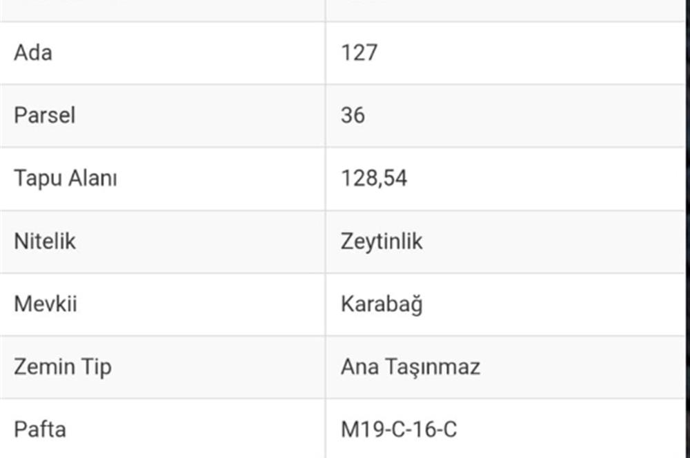 AYDIN KARPUZLU CUMALAR 128 M2 ZEYTİNLİK