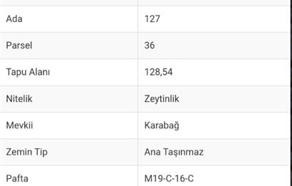 AYDIN KARPUZLU CUMALAR 128 M2 ZEYTİNLİK