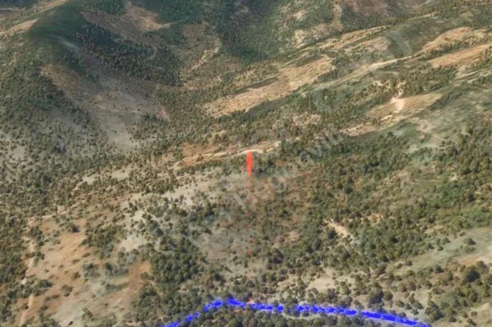 Milas Kafaca’da Satılık Zeytinlik – Yatırıma Uygun