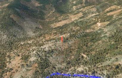 Milas Kafaca’da Satılık Zeytinlik – Yatırıma Uygun