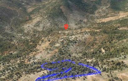 Milas Kafaca’da Satılık Zeytinlik – Yatırıma Uygun