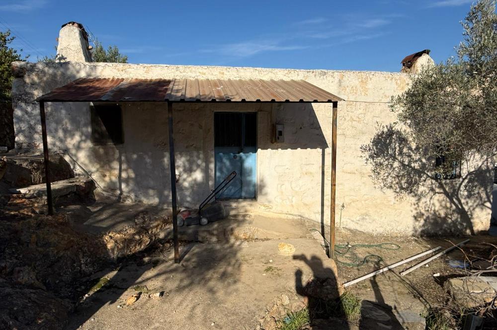 DEREKÖY’ÜN KALBİNDE | KÖY İÇİNDE 100 YILLIK HAKİKİ SATILIK TAŞ EV