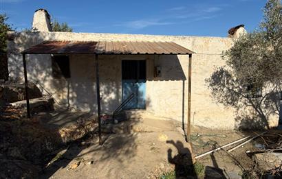 DEREKÖY’ÜN KALBİNDE | KÖY İÇİNDE 100 YILLIK HAKİKİ SATILIK TAŞ EV