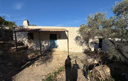 DEREKÖY’ÜN KALBİNDE | KÖY İÇİNDE 100 YILLIK HAKİKİ SATILIK TAŞ EV