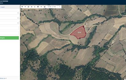 CENTURY21 Bal'DAN BALIKESİR ARMUTALAN' DA SATILIK YATIRMLIK TARLA