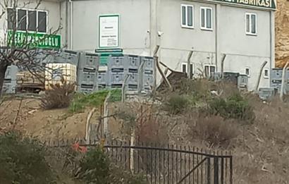 C.21LOCA'DAN HAVRAN DEREÖREN SATILIK 1692 M2 MÜKEMMEL ZEYTİNLİK