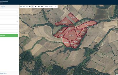 CENTURY21 Bal'DAN BALIKESİR ARMUTALAN' DA SATILIK YATIRMLIK TARLA