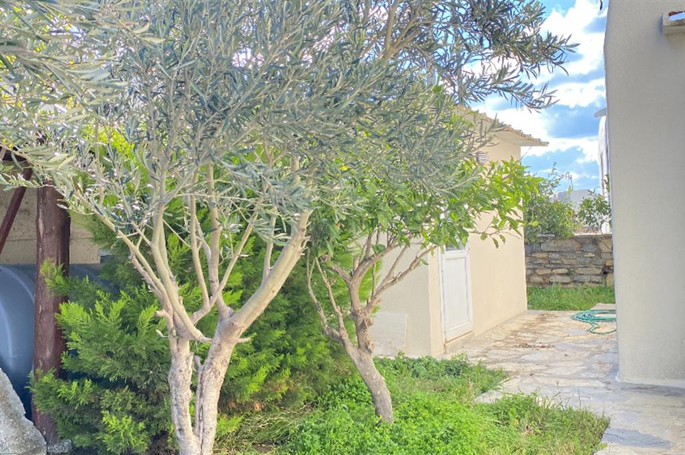 Bodrum Koyunbaba Deniz Manzaralı Havuzlu Villa