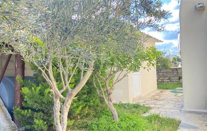 Bodrum Koyunbaba Deniz Manzaralı Havuzlu Villa