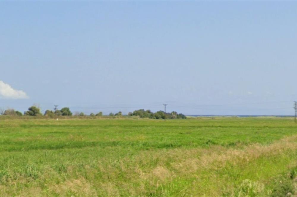 ÇANAKKALE BİGA BOZLAR KÖYÜ 495 m² VİLLA İMARLI YATIRIMLIK ARSA