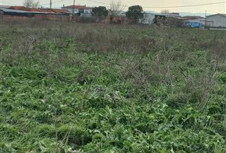 C.21 LOCA ALTIEYLÜL KÖSELER MAH.SATILIK 6673 M2 YATIRIMLIK TARLA - 1 - 31047