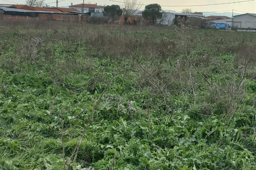 C.21 LOCA ALTIEYLÜL KÖSELER MAH.SATILIK 6673 M2 YATIRIMLIK TARLA