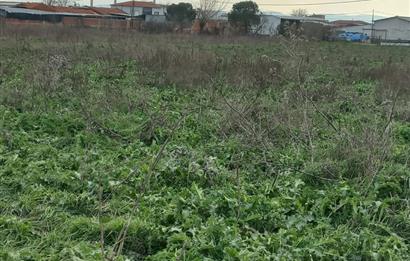 C.21 LOCA ALTIEYLÜL KÖSELER MAH.SATILIK 6673 M2 YATIRIMLIK TARLA