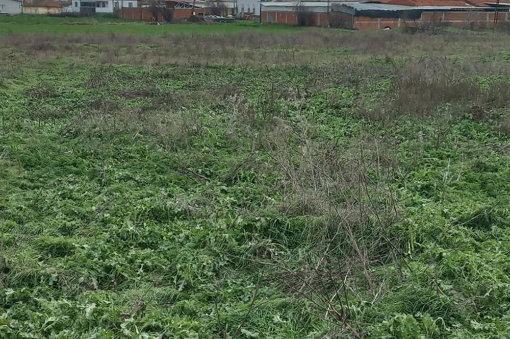 C.21 LOCA ALTIEYLÜL KÖSELER MAH.SATILIK 6673 M2 YATIRIMLIK TARLA