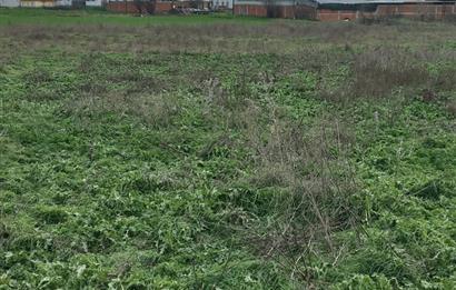 C.21 LOCA ALTIEYLÜL KÖSELER MAH.SATILIK 6673 M2 YATIRIMLIK TARLA