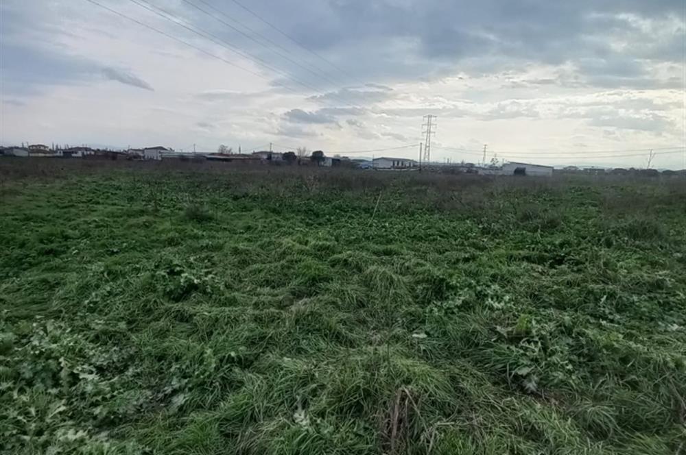 C.21 LOCA ALTIEYLÜL KÖSELER MAH.SATILIK 6673 M2 YATIRIMLIK TARLA