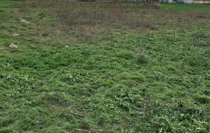 C.21 LOCA ALTIEYLÜL KÖSELER MAH.SATILIK 6673 M2 YATIRIMLIK TARLA